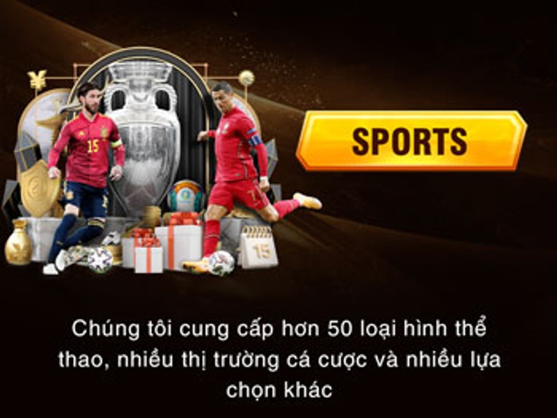 Cá cược thể thao winvip